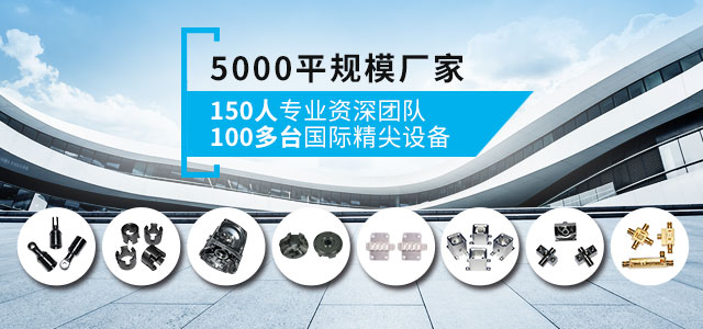 5000平规模厂家  150人专业资深团队  100多台国际精尖设备